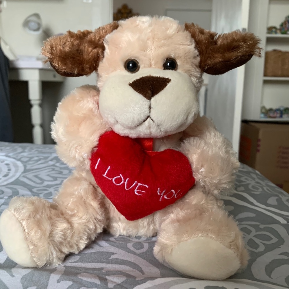 Cute Teddy Bear ❤️